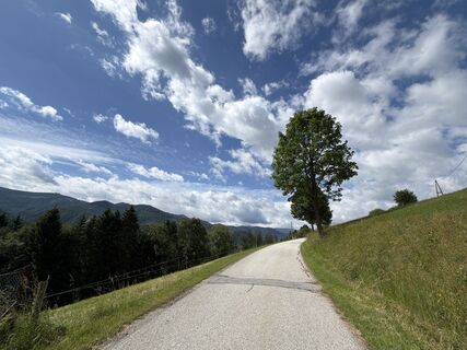 Foto von Tamás Ónodi entlang der Tour