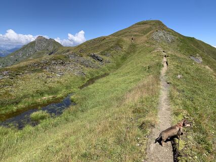 Foto de Koen De Wit a lo largo del recorrido