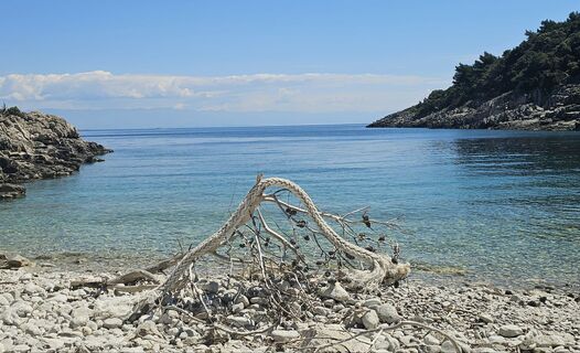 Fotografia z Grieshofer Gerlinde na trase