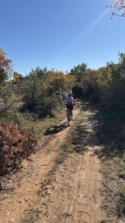 Photo de Markus Erbschwendtner le long du parcours