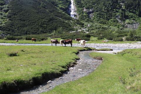 Foto von Gerrit van der Linde entlang der Tour