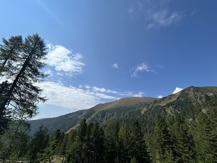 Foto von Anne Marijke Zwarts entlang der Tour
