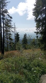 Fotografia z Czesław Paweł Soroko na trase