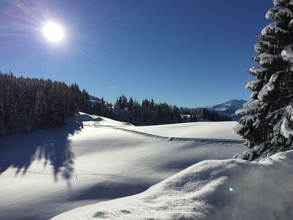 Winterlandschaft rund um Juppi Zauberwald am Reither Kogel