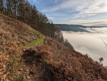 Foto von Andreas Reiher entlang der Tour