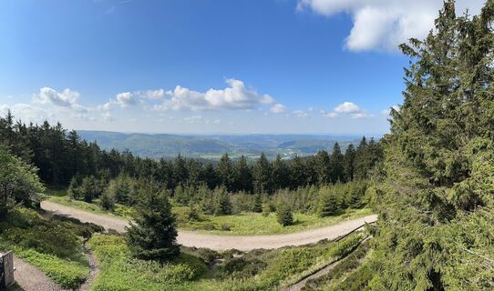 Foto von Norbert Herbig entlang der Tour