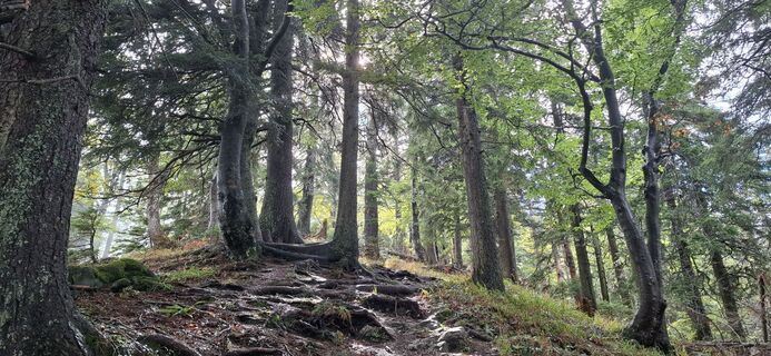 Foto de pesendis a lo largo del recorrido