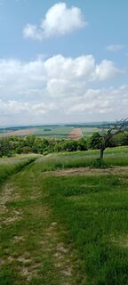 Foto van Andreas Wonisch langs de tour