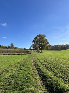 Fotografie de la Wolfgang Kuntner de-a lungul turului