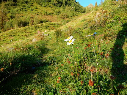Kappl - Niederelbehütte - Seßladjöchli - Kartellspeicher - Darmstädter Hütte