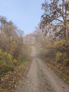 Fotografia z Fredi Oppel na trase