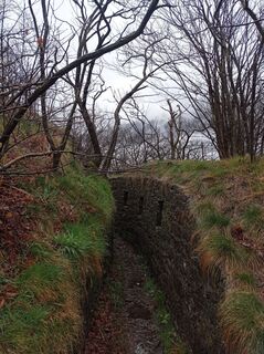 Photo de Aner le long du parcours