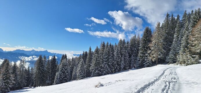 Foto von Gerlitzenrunde entlang der Tour