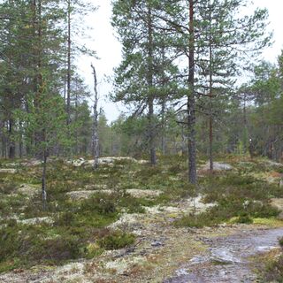 Lauttavaara, Lentua Kuhmo Finnland