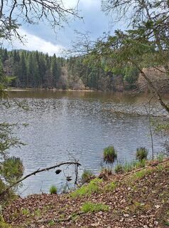 Foto da Dagmar Hofer lungo il tour
