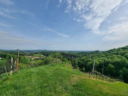 Fotografia z Denise Dorner na trase