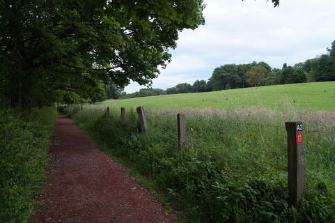 Weg bei Lerbach
