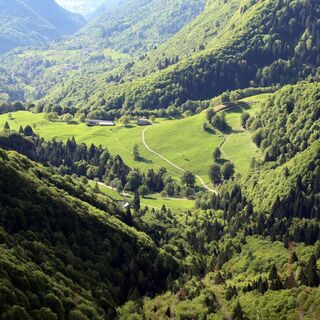Blick auf die Malga Grassi