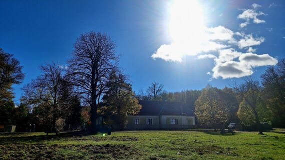 Fotografia z Regina Fleischmann na trase