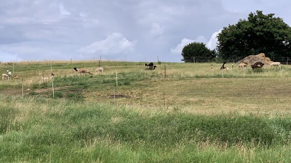 Foto da outdoor_rue lungo il tour