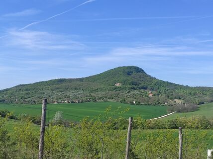 Zdjęcie z Làszló Visi wzdłuż trasy