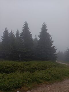 Foto von Adam Akwen entlang der Tour