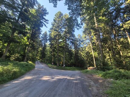 Foto de Markus Christen a lo largo del recorrido