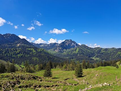 Fotografia z Sandra Stemplinger na trase