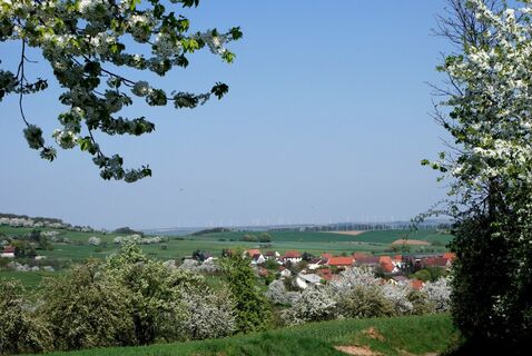 Blick auf Steinbach