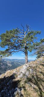 Foto de Sandy a lo largo del recorrido