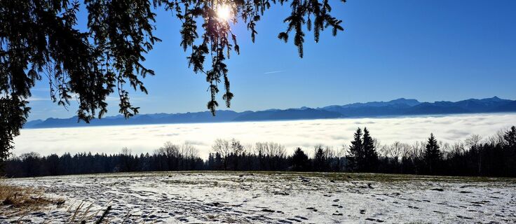 Фото с сайта Thomas Schekira во время экскурсии