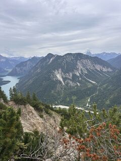 Fotografija s spletne strani Thomas Wally na poti