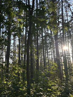 Fotografia z RS76 na trase