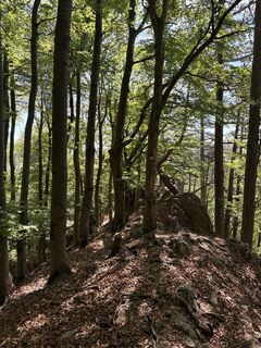 Fotografija s spletne strani NezSari na poti