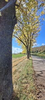 Foto von Roswitha Fr entlang der Tour