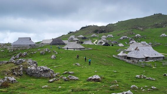 Foto von Igor napast entlang der Tour