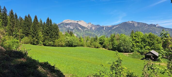 Abersee, Salzburg/Österreich