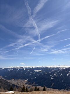 Fotografija s spletne strani Castor Dewit na poti