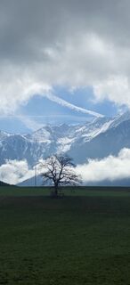 Foto von Juri Herre & Rocky entlang der Tour