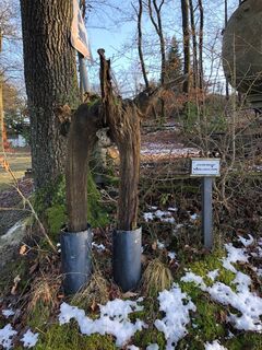 Eine männliche, defekte Hüfte