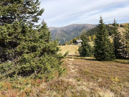 Foto de Gerti Glettler a lo largo del recorrido