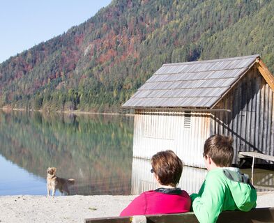 Dem Waldglas auf der Spur - Tscherniheim 4