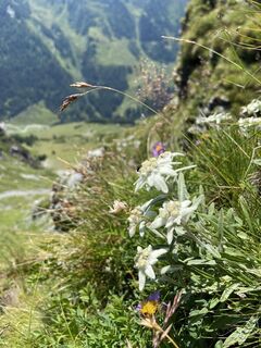 Fotografie de la Sophie Wear de-a lungul turului