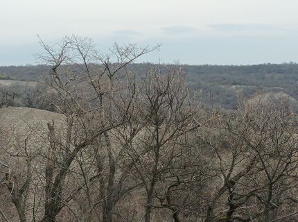 Fotografia z Julika Jármer na trase