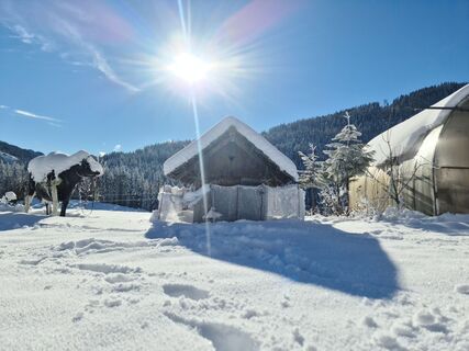 Ferienwohnungen Familie Gruber