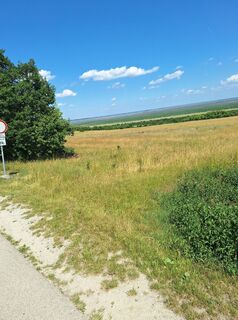Foto von Judit Ferencziné entlang der Tour