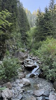 Fotografija s spletne strani Florian Meyer 1 na poti