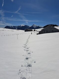 Photo de Günther Schned le long du parcours