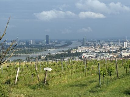Foto da Lothar Bodingbauer lungo il tour