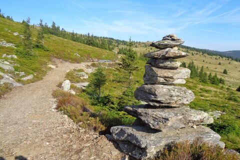 Route 50 - Wexl Trails